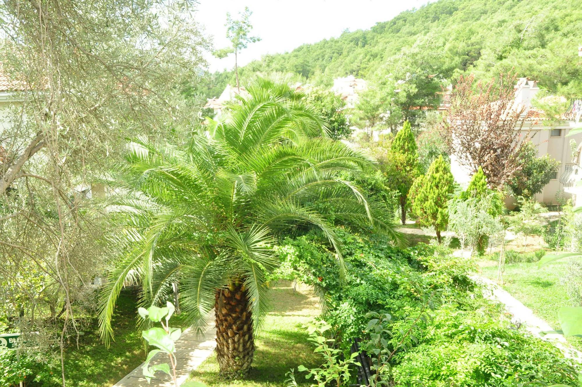 Telmessos Select Hotel - Adult Only Oludeniz Kültér fotó